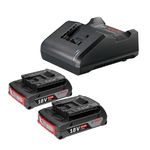 Kit-2-Baterias-GBA-18V-2Ah---Carregador-de-Baterias-GAL-18V-20-Bivolt-P24158